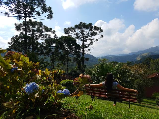 muito verde e natureza