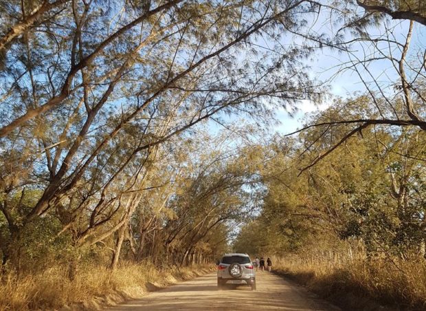 estrada de terra