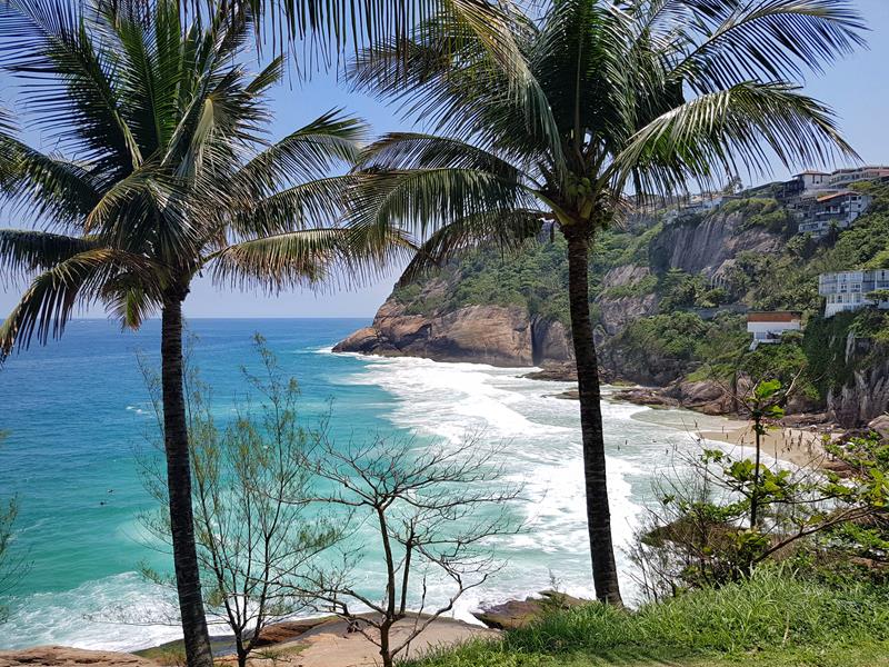 praia da joatinga no meio da vegetacao