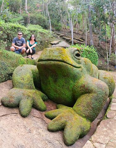 Sapo Gigante