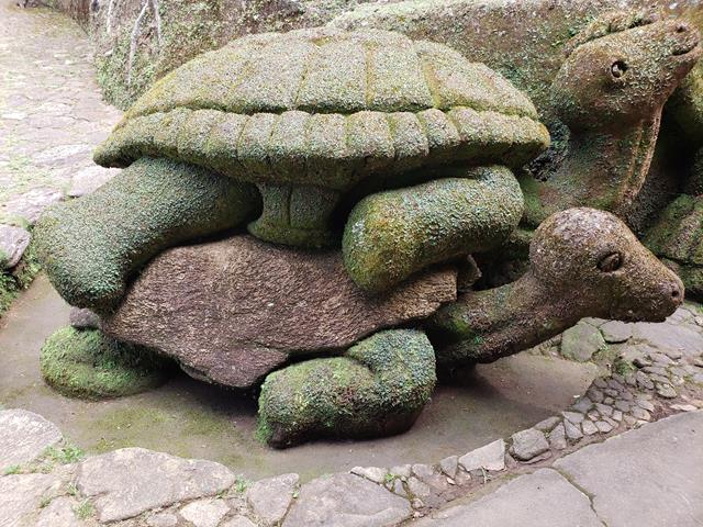 tartarugas gigantes