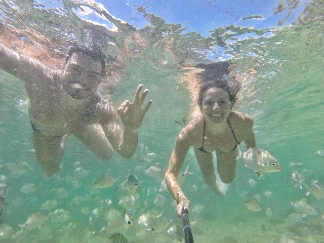 peixinhos da lagoa verde