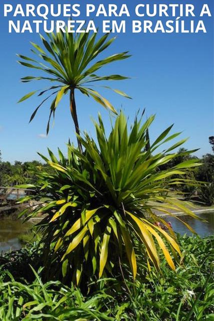 Parques de Brasilia salve no Pinterest