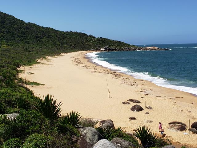 Praia da Taquarinha balneário Camboriú